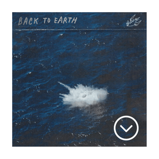 Back To Earth Digital Deluxe Album