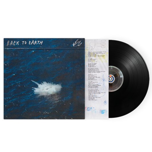 Back To Earth Vinyl