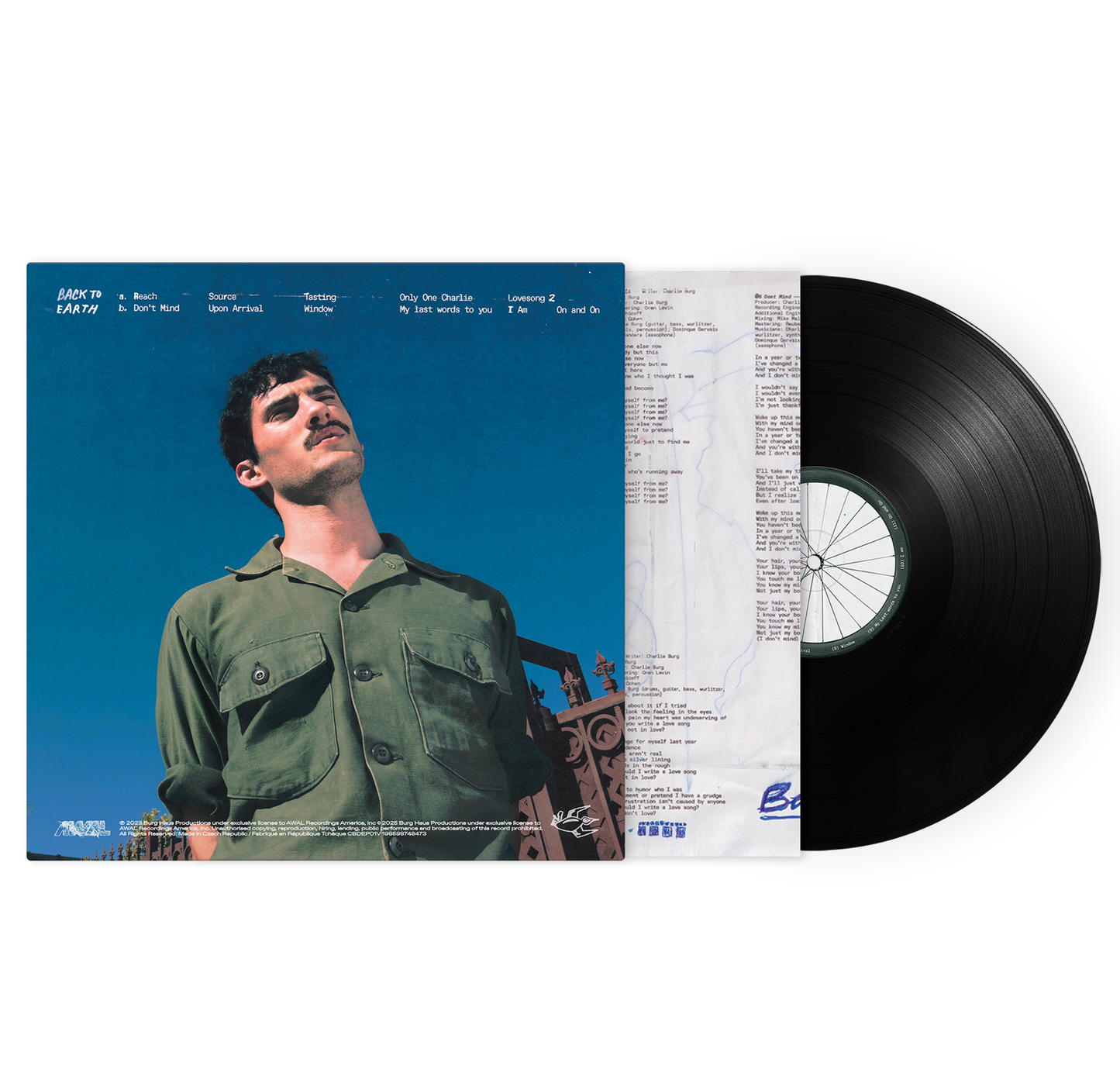Back To Earth Vinyl